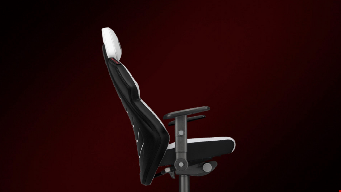Backforce ONE