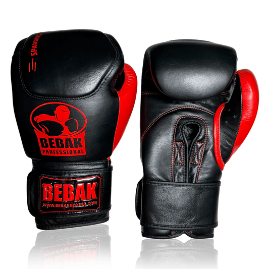 HIDE Training/Sparring